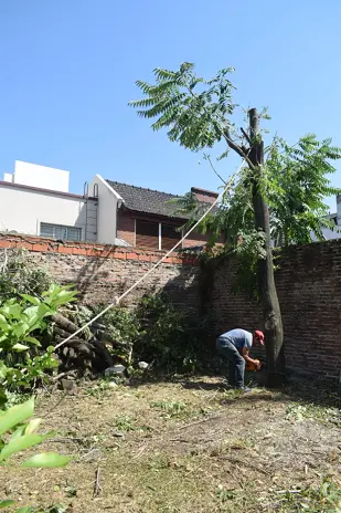Servicio de Poda de Altura en Mataderos – CABA – Buenos Aires
