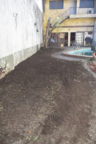 Poda de Altura y Nivelación de Terreno
