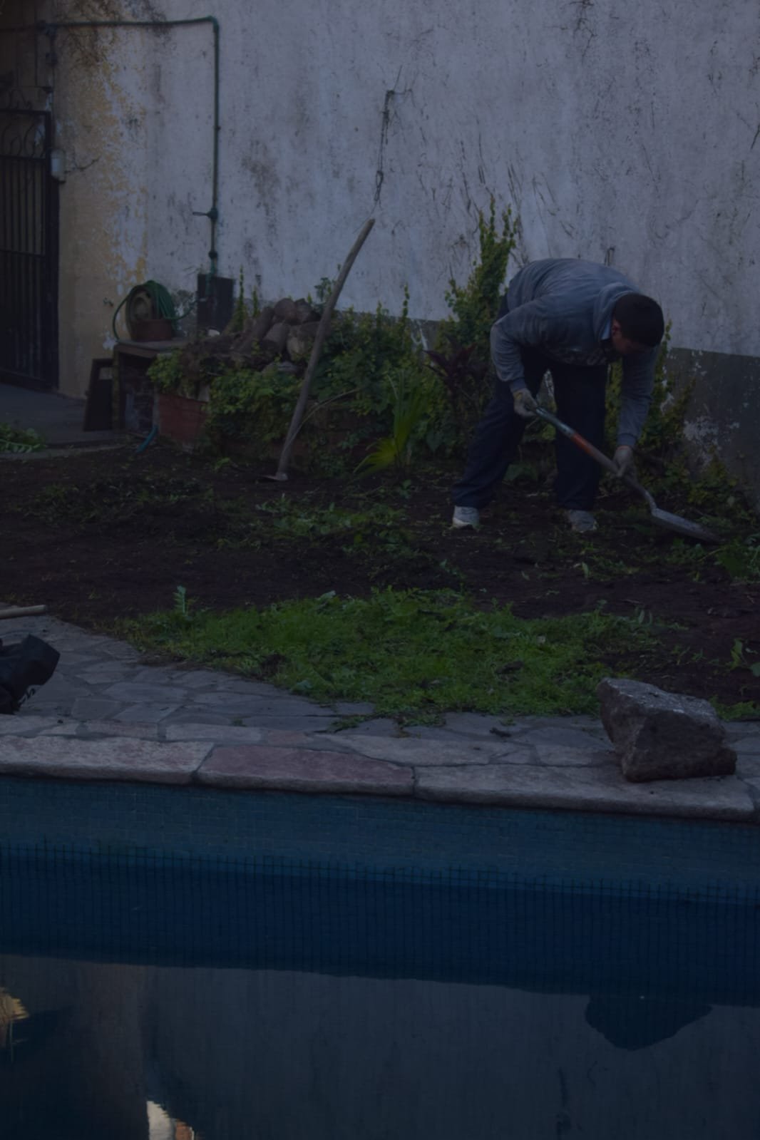 Poda de Altura y Nivelación de Terreno