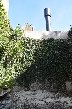 Retirar Árbol de Patio en Villa del Parque - Corte de Árbol al Ras