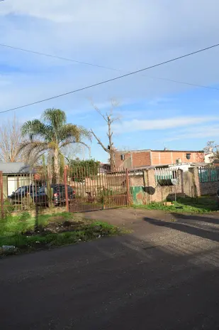 Corte de Álbol de 30 Metros en San Miguel - Buenos Aires